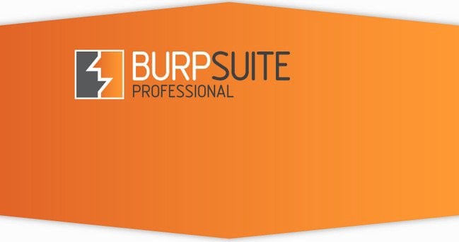 Burp Suite Pro 2022.9.2 Full Crack + License Key 2023 Download